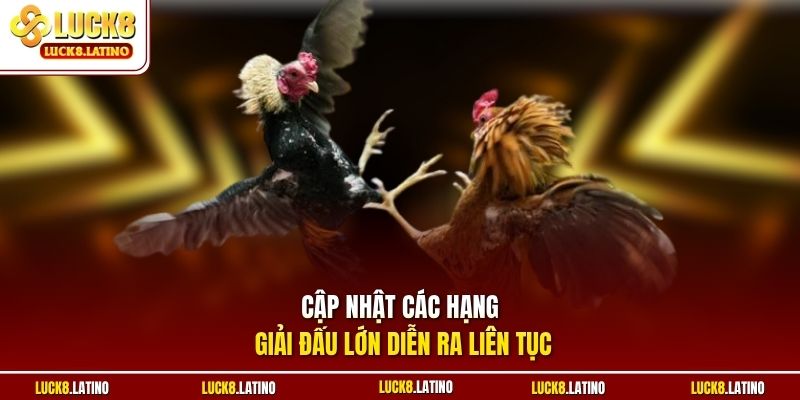 Cập nhật các hạng giải đấu lớn diễn ra liên tục