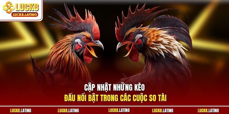 Cập nhật những kèo đấu nổi bật trong các cuộc so tài 