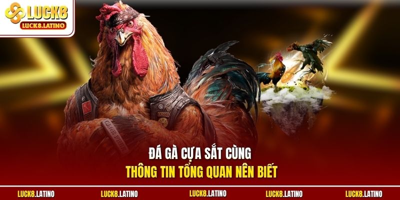 Đá gà cựa sắt cùng thông tin tổng quan nên biết