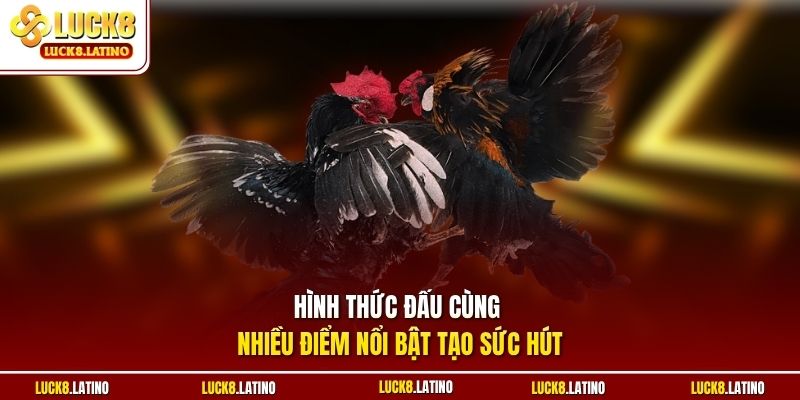 Hình thức đấu cùng nhiều điểm nổi bật tạo sức hút