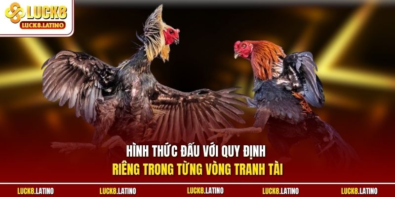 Hình thức đấu với quy định riêng trong từng vòng tranh tài