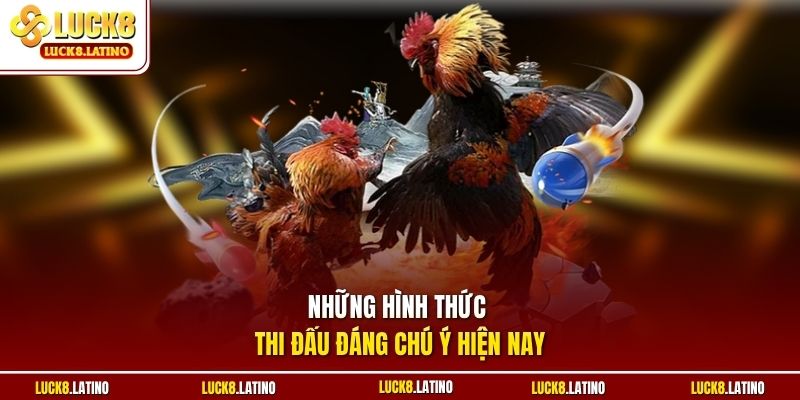 Những hình thức thi đấu đáng chú ý hiện nay 